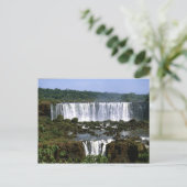 Carte Postale Chutes d'Iguassu (Debout devant)