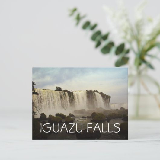 Carte Postale Chutes d'Iguazu (Debout devant)