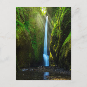 Carte Postale Chutes d'Oneonta