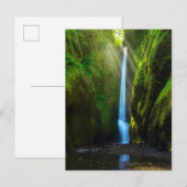 Carte Postale Chutes d'Oneonta (Devant / Derrière)