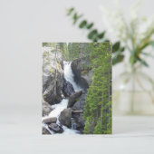 Carte Postale Chutes du Colorado Rawah (Debout devant)