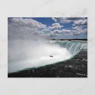 Carte Postale Chutes du Niagara avec Mouette