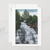 Carte Postale Chutes Hector près de Seneca Lake View (Devant / Derrière)