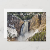 Carte Postale Chutes inférieures du Yellowstone (Devant / Derrière)