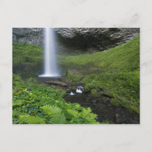 Carte Postale Chutes Latourell, gorge du Columbia, Oregon,