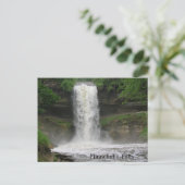 Carte Postale Chutes Minnehaha (Debout devant)