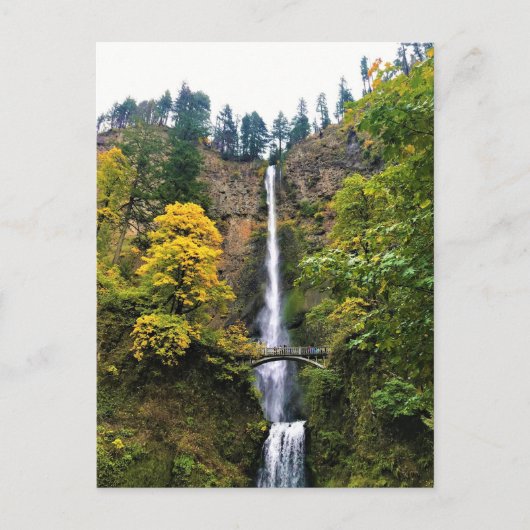 Carte Postale Chutes Multnomah, Columbia River Gorge, Oregon (Devant)
