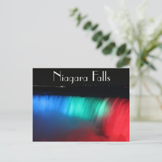 Carte Postale Chutes Niagara (Debout devant)