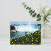 Carte Postale Chutes Niagara (Debout devant)