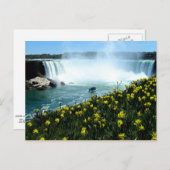 Carte Postale Chutes Niagara (Devant / Derrière)