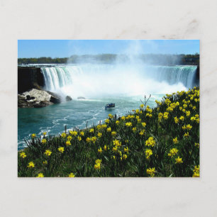 Carte Postale Chutes Niagara