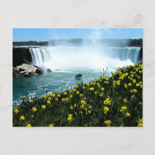Carte Postale Chutes Niagara (Devant)