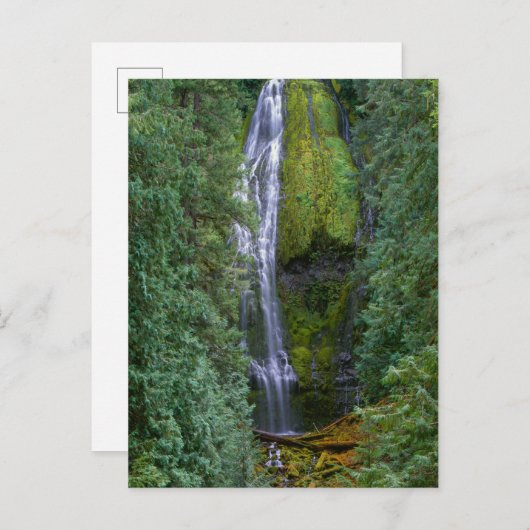 Carte Postale Chutes Proxy inférieures | Forêt nationale de Will (Devant / Derrière)