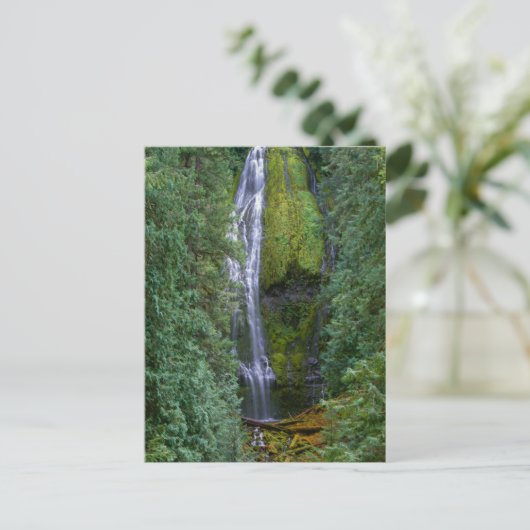 Carte Postale Chutes Proxy inférieures | Forêt nationale de Will (Debout devant)