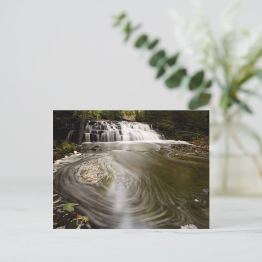 Carte Postale Chutes sans nom (Debout devant)