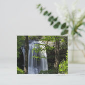 Carte Postale Chutes sèches (Debout devant)