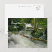 Carte Postale Chutes trompeuses (Devant / Derrière)