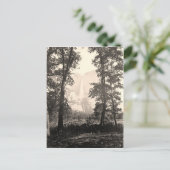 Carte Postale Chutes vintages de Yosemite (Debout devant)