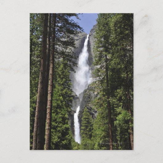 Carte Postale Chutes Yosemite, Parc national Yosemite (Devant)