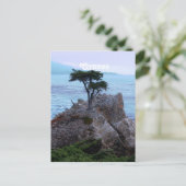 Carte Postale Chypre (Debout devant)