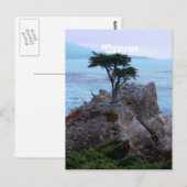 Carte Postale Chypre (Devant / Derrière)