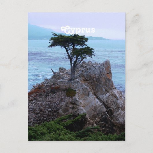 Carte Postale Chypre (Devant)