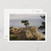 Carte postale Chypre unique (Devant / Derrière)