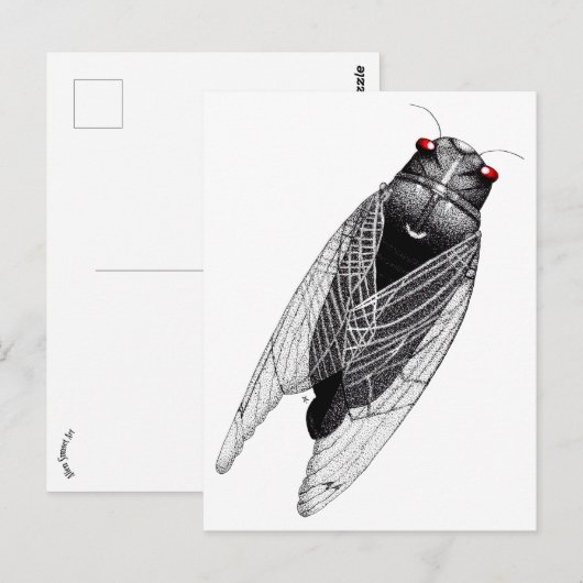 Carte Postale Cicada (Devant / Derrière)