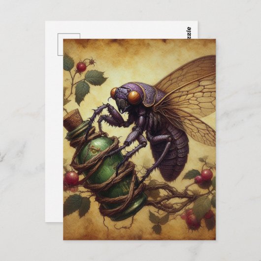 Carte Postale Cicada (Devant / Derrière)