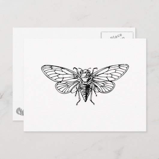 Carte Postale Cicada (Devant / Derrière)