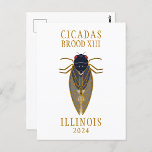 Carte Postale Cicada Brood XIII ILLINOIS 2024 Texte personnalisé