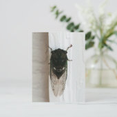 Carte Postale Cicada Photo (Debout devant)