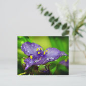 Carte Postale Ciel bleu (Debout devant)