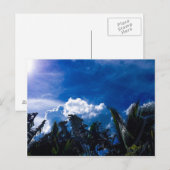 Carte Postale Ciel bleu clair avec des nuages (Devant / Derrière)