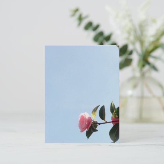 Carte Postale Ciel bleu fleur rose Camellia (Debout devant)