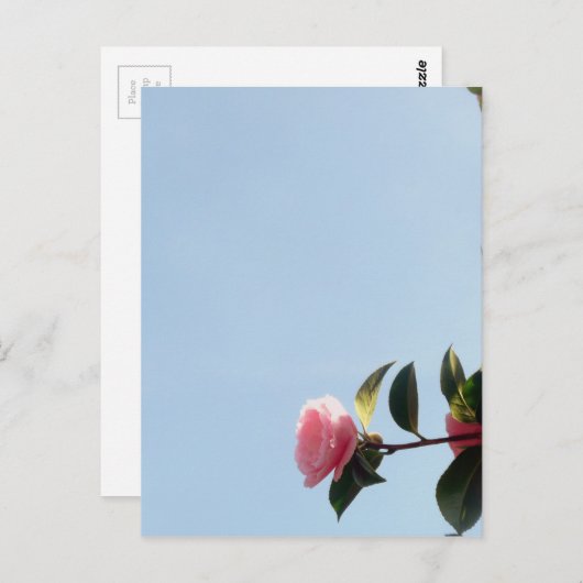 Carte Postale Ciel bleu fleur rose Camellia (Devant / Derrière)