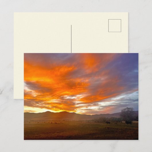 Carte Postale Ciel Braise (Devant / Derrière)