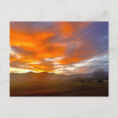 Carte Postale Ciel Braise (Devant)