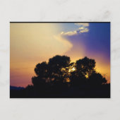 Carte Postale Ciel de coucher de soleil électrique (Devant)