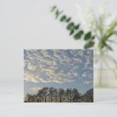 Carte Postale Ciel d'hiver (Debout devant)