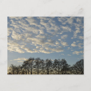 Carte Postale Ciel d'hiver