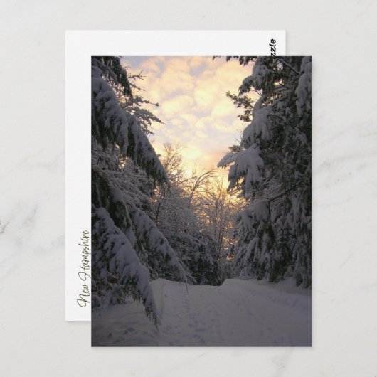 Carte Postale Ciel d'hiver (Devant / Derrière)