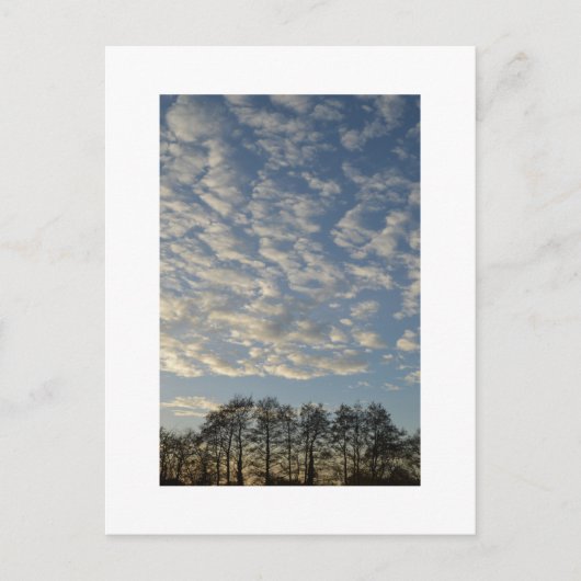Carte Postale Ciel d'hiver (Devant)