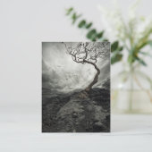 Carte Postale Ciel dramatique sur un vieux arbre solitaire (Debout devant)