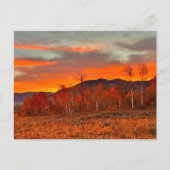 Carte Postale Ciel en Feu (Devant)