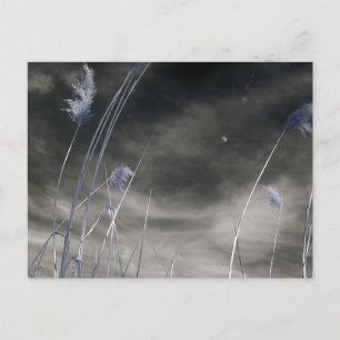 Carte Postale Ciel ensoleillé foncé / Photographie infrarouge