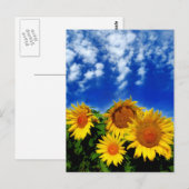 Carte Postale Ciel et fleur (Devant / Derrière)