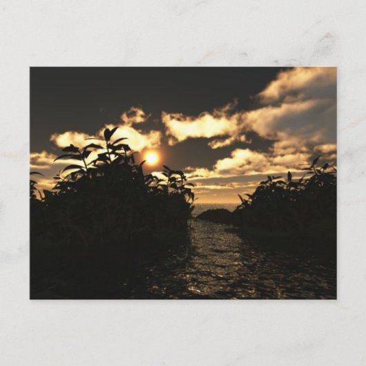 Carte Postale Ciel nocturne (Devant)