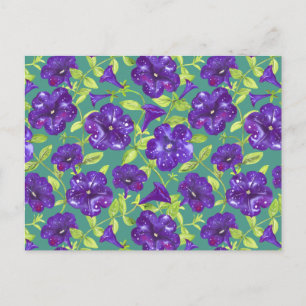 Carte Postale Ciel nocturne Petunia sur oreiller à lancer arrièr