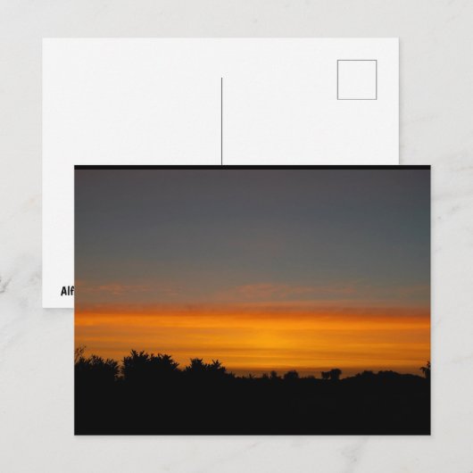 Carte Postale Ciel orange silhouette (Devant / Derrière)